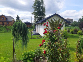 apartament Wigry -domek z altaną na wyłączność